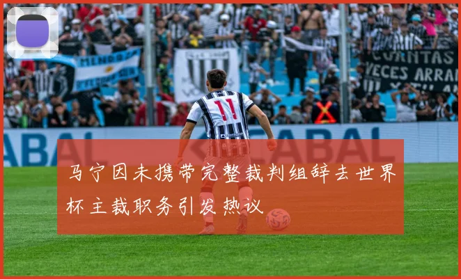 马宁因未携带完整裁判组辞去世界杯主裁职务引发热议